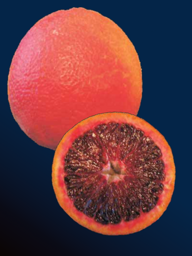 c64b67f4-1b73-49a1-8c07-e16af5b3e607