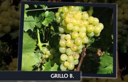 7827bad5-8519-4e5d-84f3-6a2edf797162