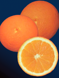 62479c9e-55aa-4024-84c5-3cc704eb201e