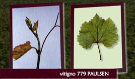 722ae07e-074b-4adb-8cff-14bcf29f6fcf