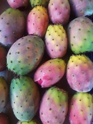 966d3509-0f72-401c-a825-d0ea21890826 966d3509-0f72-401c-a825-d0ea21890826