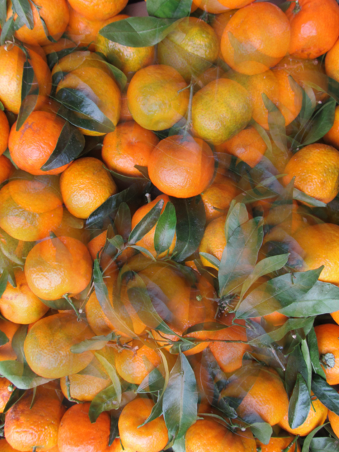 7c7797d7-6ed9-44a0-b9a2-570b6c113786