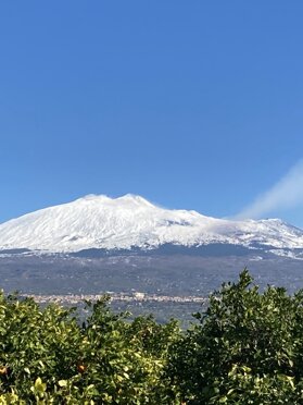 Etna imbiancata, che sovrasta le nostre piante Etna imbiancata, che sovrasta le nostre piante