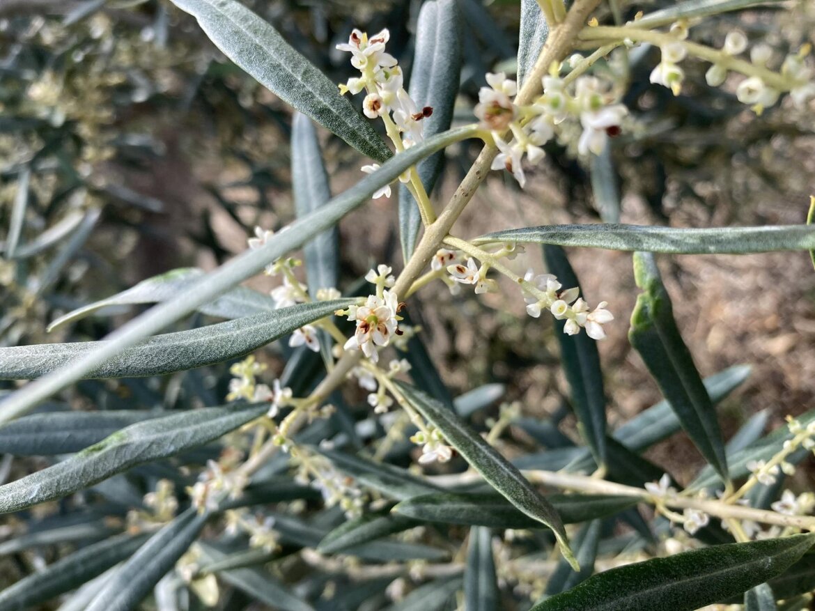 6967f742-3558-4b93-b400-72d6af8723d2 6967f742-3558-4b93-b400-72d6af8723d2