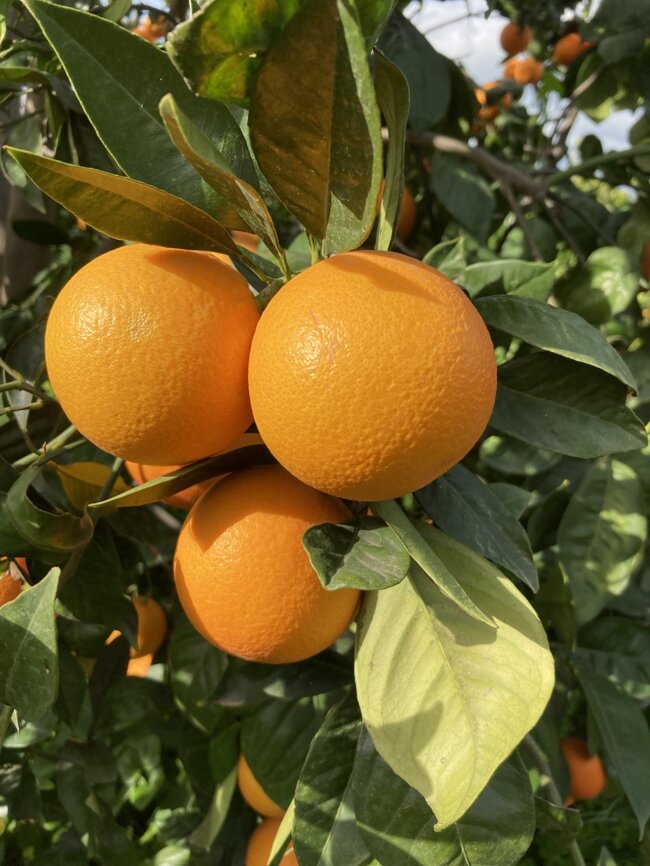 5e91949a-b7a1-4e04-9f1c-2bd615d0d60e