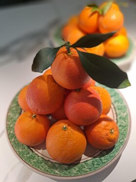 Queste arance dall'albero a casa tua Queste arance dall'albero a casa tua