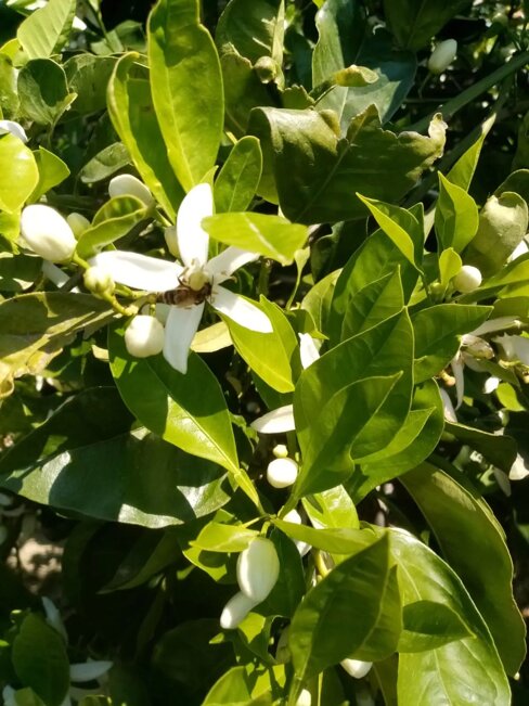 6dd63b2e-ceba-4f20-a01d-96f72eef9983