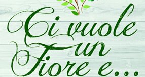 149a6c59-4d20-403b-bd47-b619bbbeb417