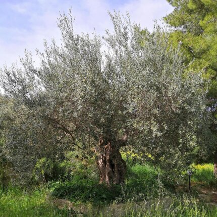 7c52bfd8-6117-4670-9c3c-bcabb2673429 7c52bfd8-6117-4670-9c3c-bcabb2673429