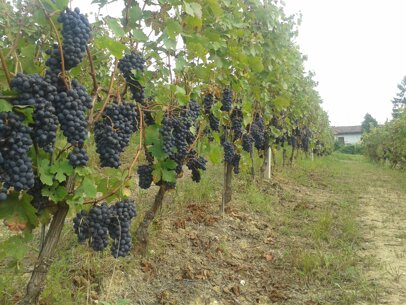 059b4b1d-7463-4f63-bf19-0c8b43f5de7c