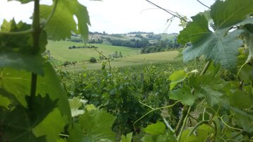 bfe221a3-865b-4570-a6c9-cbecbcf00f8f