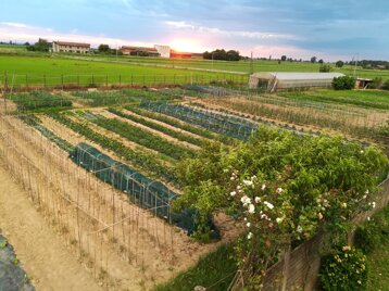 961aa388-e5d6-4487-9fc9-f392cee82552