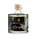liquore-genepy