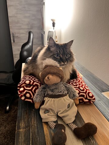 f80ebe90-32a7-47cf-8ab6-62e9ebdfb478