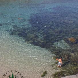 Spiaggia di Porto Palmas