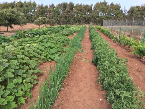 9353e26b-656e-408b-82d2-4970a52e96e1