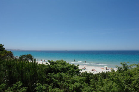 317b43b1-fe68-430c-bb1c-b2e041d7fbcb