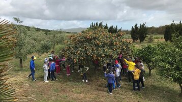 53414ae9-17e7-4244-8772-abff79ff2864