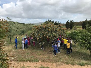 324656ae-a807-4a3d-b1ad-f0308d69786f