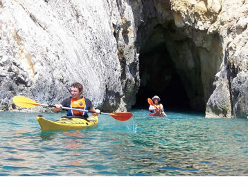 d306acff-b78c-4966-94bc-d5ee42a3b6d9