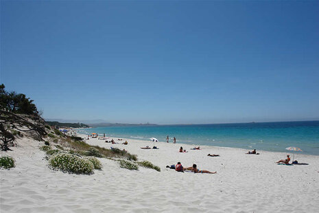 c36f6109-c5b3-4e09-9597-fe164b275986