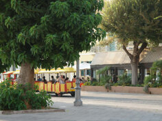 Trenino catalano Giro turistico delle città vecchia di Alghero con il trenino