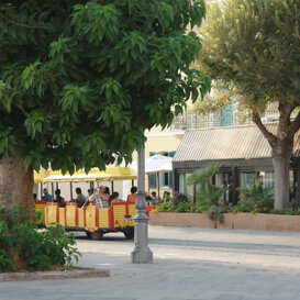 Trenino catalano Giro turistico delle città vecchia di Alghero con il trenino