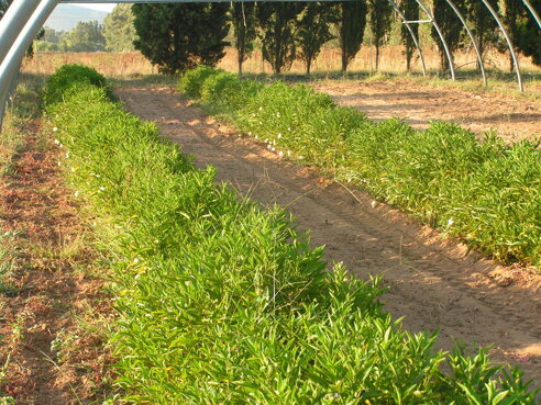 d8908d3a-0891-400f-815c-958e8280f2a7