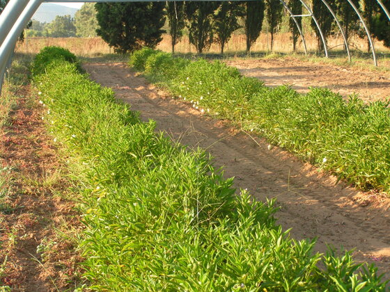 d8908d3a-0891-400f-815c-958e8280f2a7