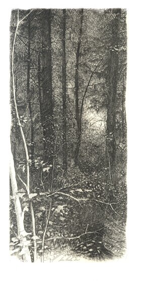 livio-ceschin-incisione-bosco fitto di inganni.jpeg