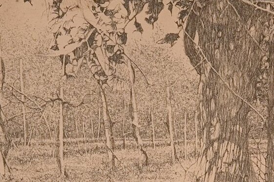 6bf3c6c7-6f33-438e-ae9e-4f04403ab7e3