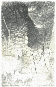 livio-ceschin-incisione-rifugi-di-luce-e-vento.jpeg livio-ceschin-incisione-rifugi-di-luce-e-vento.jpeg