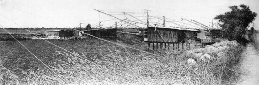 8d873ab4-00cd-419d-b870-80ee4af832fc