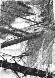 34f0dc31-2ae3-473d-b306-8f96e3f69f29 34f0dc31-2ae3-473d-b306-8f96e3f69f29