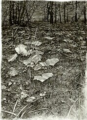 32eb5d4a-264f-493e-a521-eef78a2376e7 32eb5d4a-264f-493e-a521-eef78a2376e7