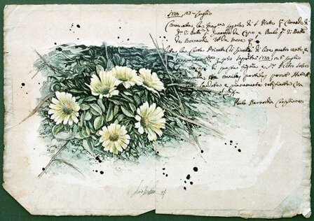 livio-ceschin-incisione-tecnica-mista-margherite 1, 2004.jpeg