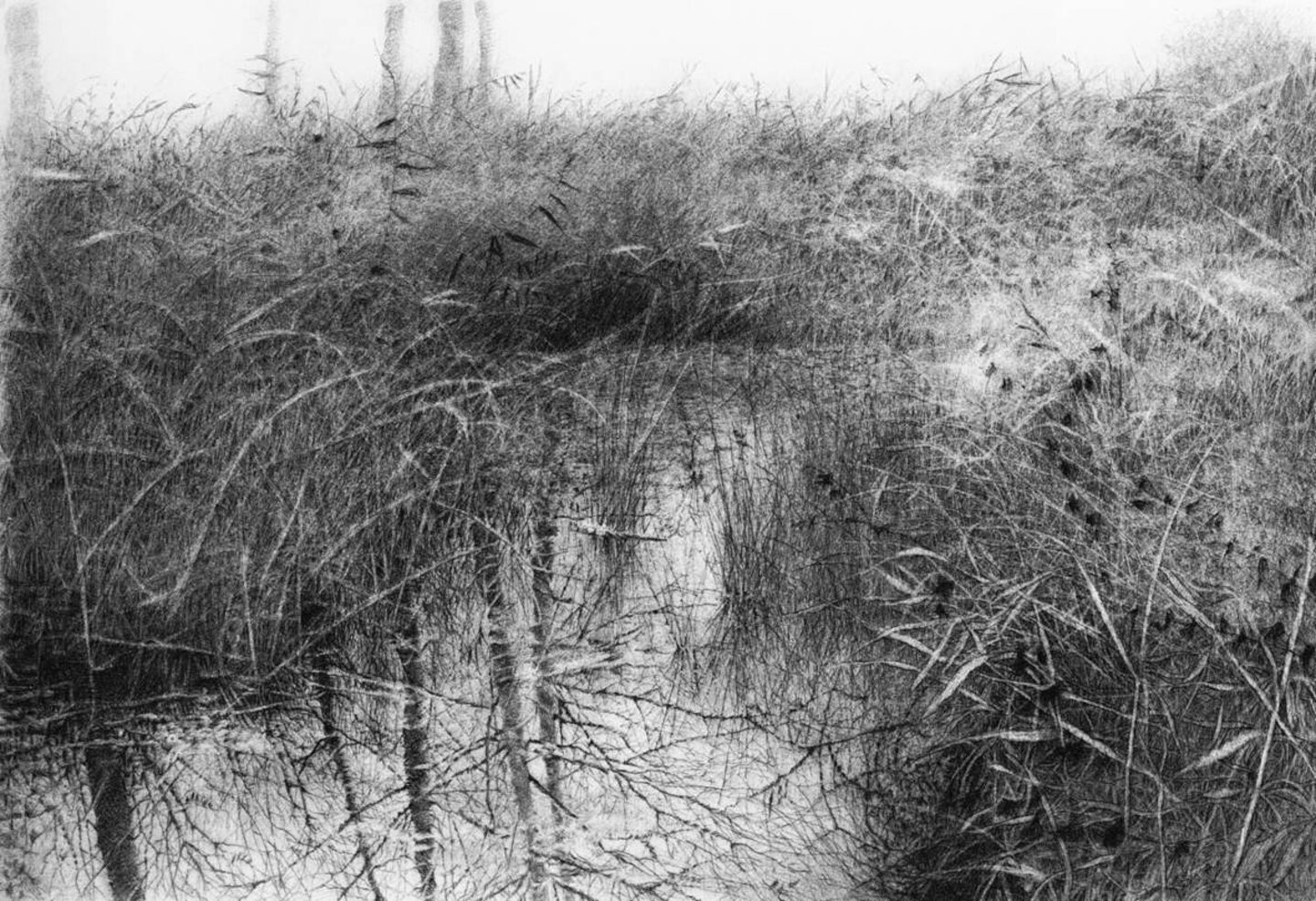 livio-ceschin-incisione-acquaforte-riflessi-acqua.jpeg