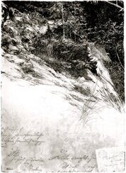 f3e71ecb-993c-4ff8-ac02-926f9cfc1703 f3e71ecb-993c-4ff8-ac02-926f9cfc1703