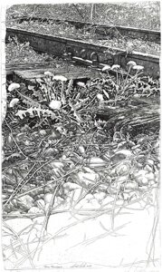 c2e3542e-1b84-4524-adc1-c06a61cc77e5 c2e3542e-1b84-4524-adc1-c06a61cc77e5