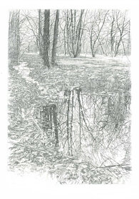 livio-ceschin-incisione-alle quinte di alberi alti.jpeg