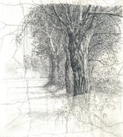 c1bf195c-fd5f-4ceb-9332-80c7566f0208 c1bf195c-fd5f-4ceb-9332-80c7566f0208