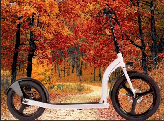 fca8219b-c794-43e7-a7b9-bf3b4c2861c6