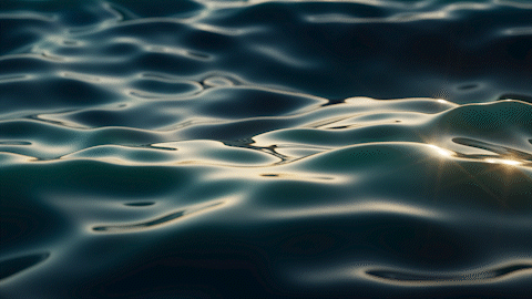 d900355e-2b93-4075-a736-84849a7907c1