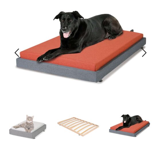 86a02fd1-cc32-4338-9eb4-277ba6ee2032 86a02fd1-cc32-4338-9eb4-277ba6ee2032