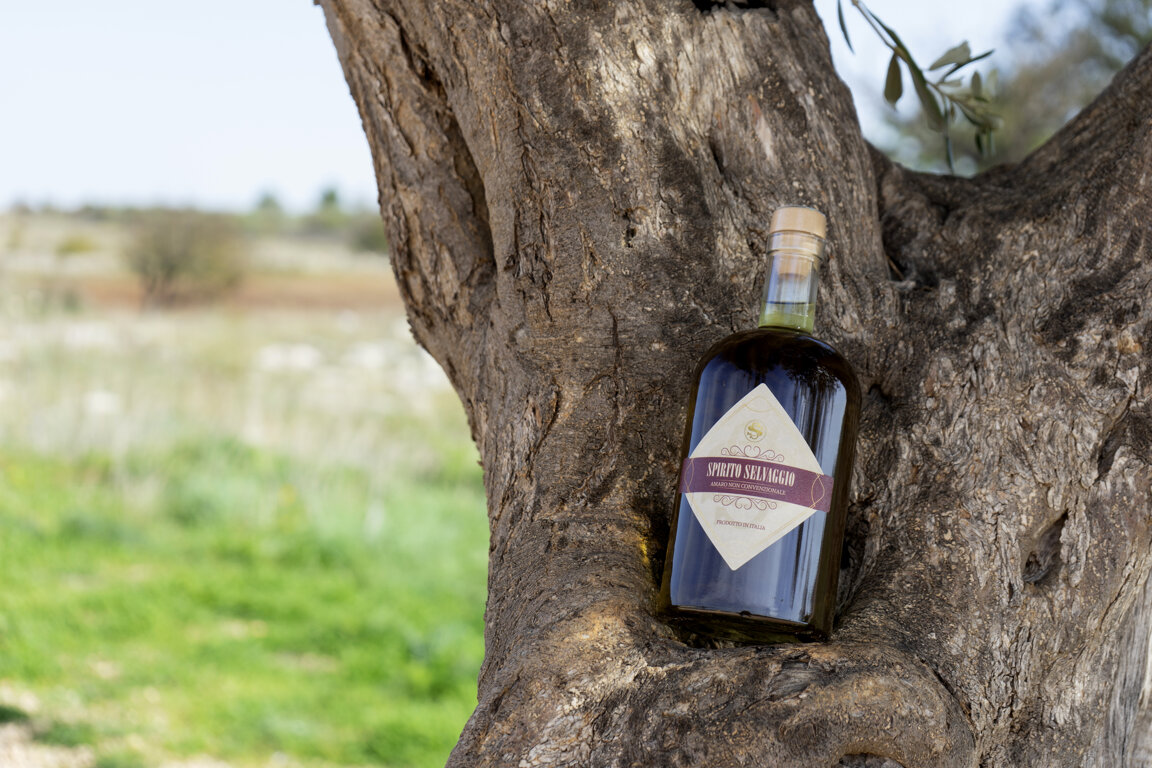 1bbe8d1f-a8c2-4893-95e3-9759b1f8063d