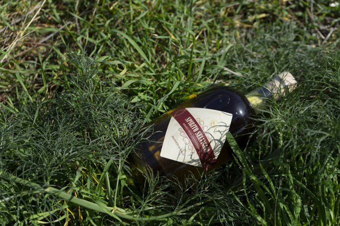 bf338b1b-5e3e-454a-a40a-aa7edaa2e830