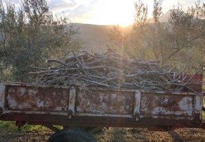 legna-da-ardere-di-ulivo-in-scatola-da-5-kg10-kg15-kg20-kg