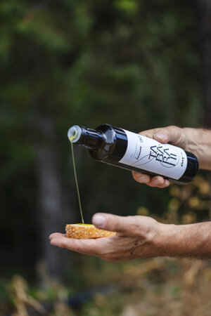 olio-extravergine-di-oliva-biologico-cerasuola-monocultivar