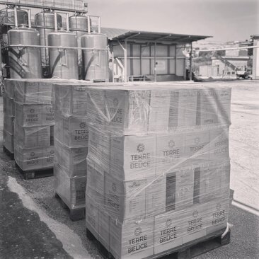 82743d18-778f-4fc3-91b2-80cae90b9e10 82743d18-778f-4fc3-91b2-80cae90b9e10