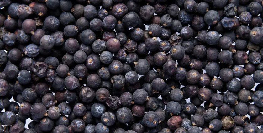 2d95dafc-afe1-4d0e-b380-c44d06f34d78